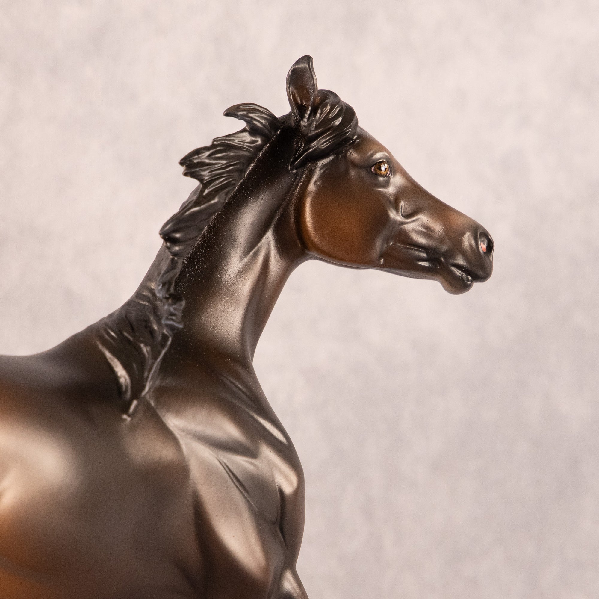 Midnight Tide OOAK FCM Arabian Yearling by Ashley Palmer EQ26