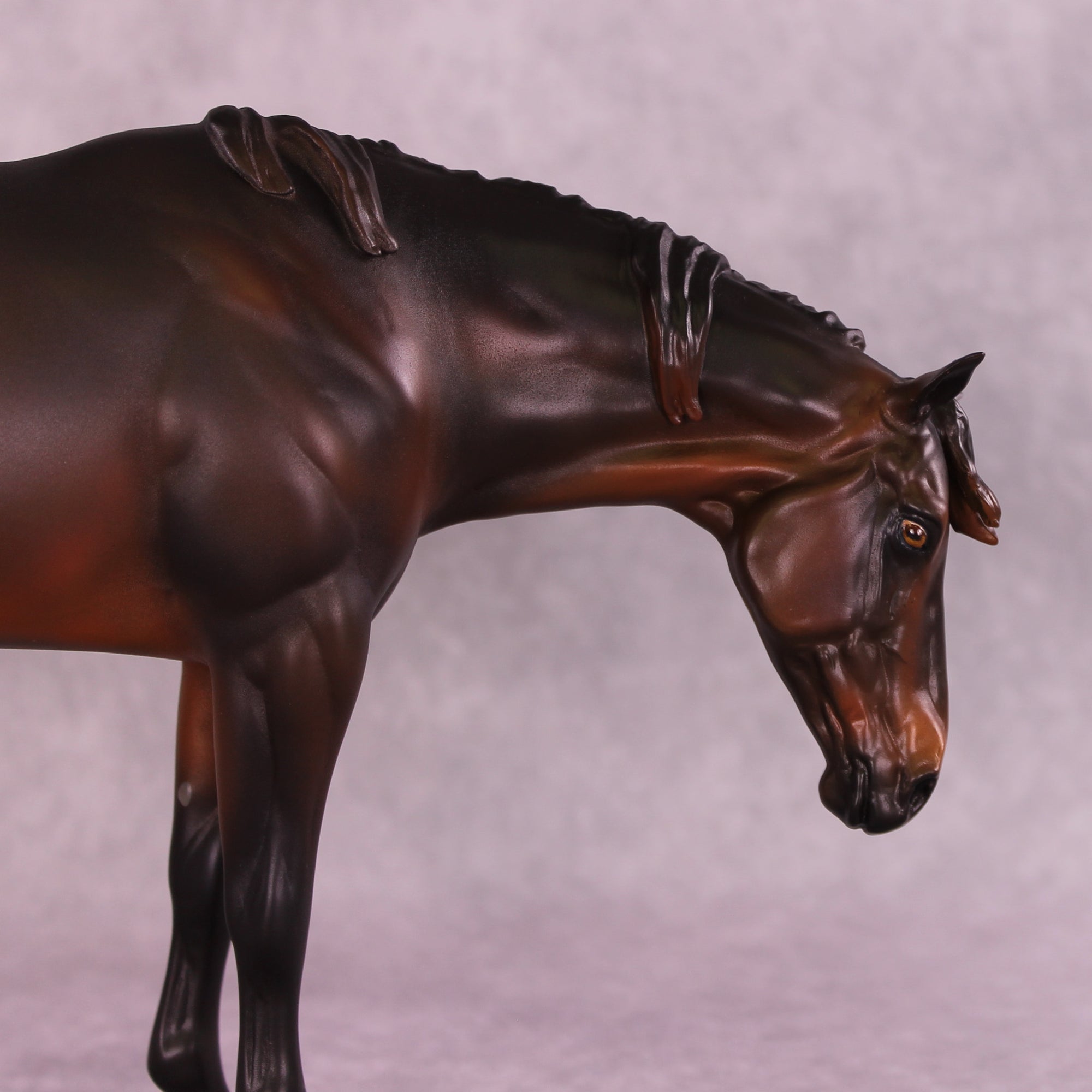 Isabella OOAK EFCM Ideal Stock Horse by Erika Isbell SS925