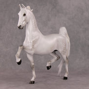 Step Inside OOAK Light Dapple Grey American Saddlebred By Ellen Robbins HS24