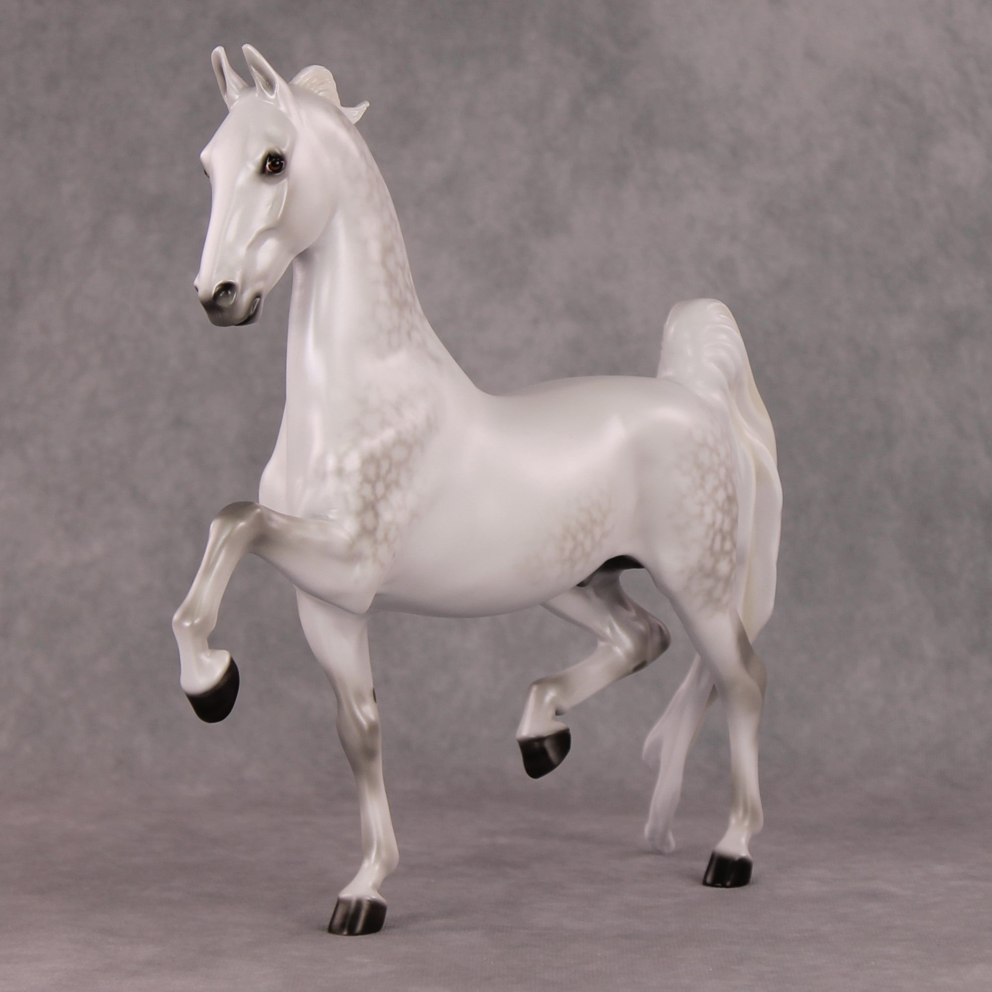 Step Inside OOAK Light Dapple Grey American Saddlebred By Ellen Robbins HS24
