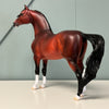 Therefore OOAK Dappled Bay Morgan By Ellen Robbins EQ24