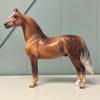 Darrington OOAK Chocolate Palomino Morgan By Jess Hamill EQ24