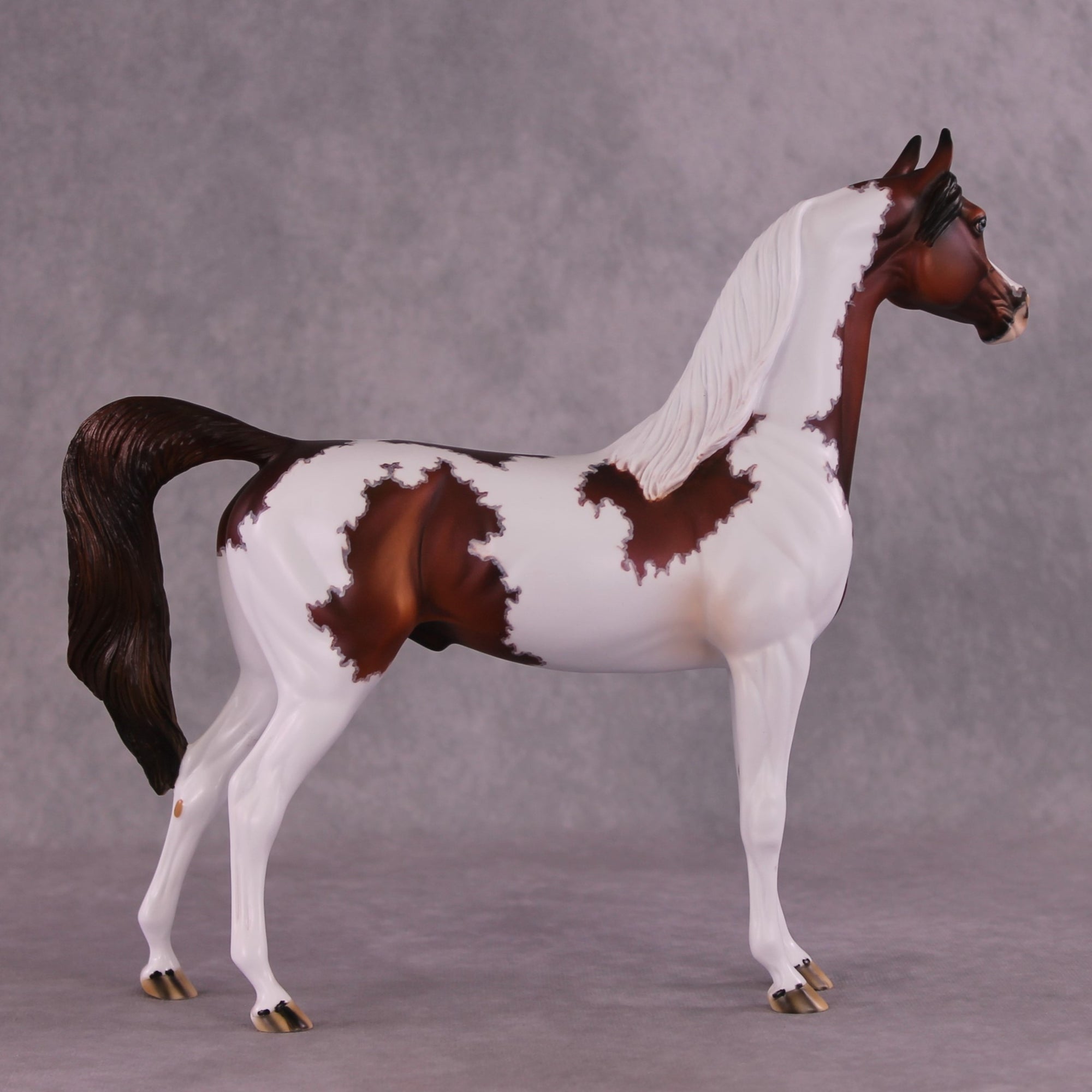 "Currant" OOAK Arabian Stallion by Dawn Quick EQ25