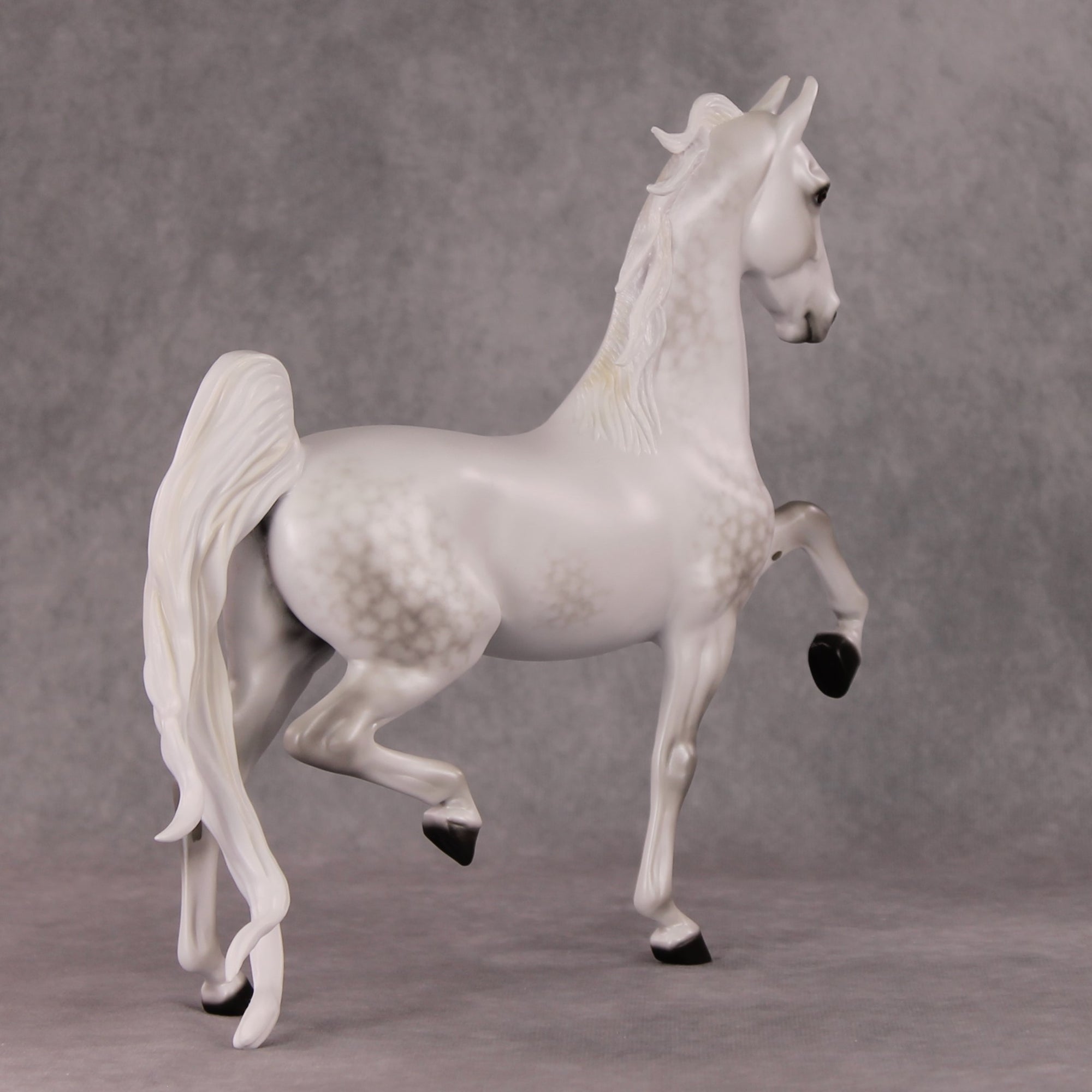 Step Inside OOAK Light Dapple Grey American Saddlebred By Ellen Robbins HS24