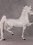 Step Inside OOAK Light Dapple Grey American Saddlebred By Ellen Robbins HS24