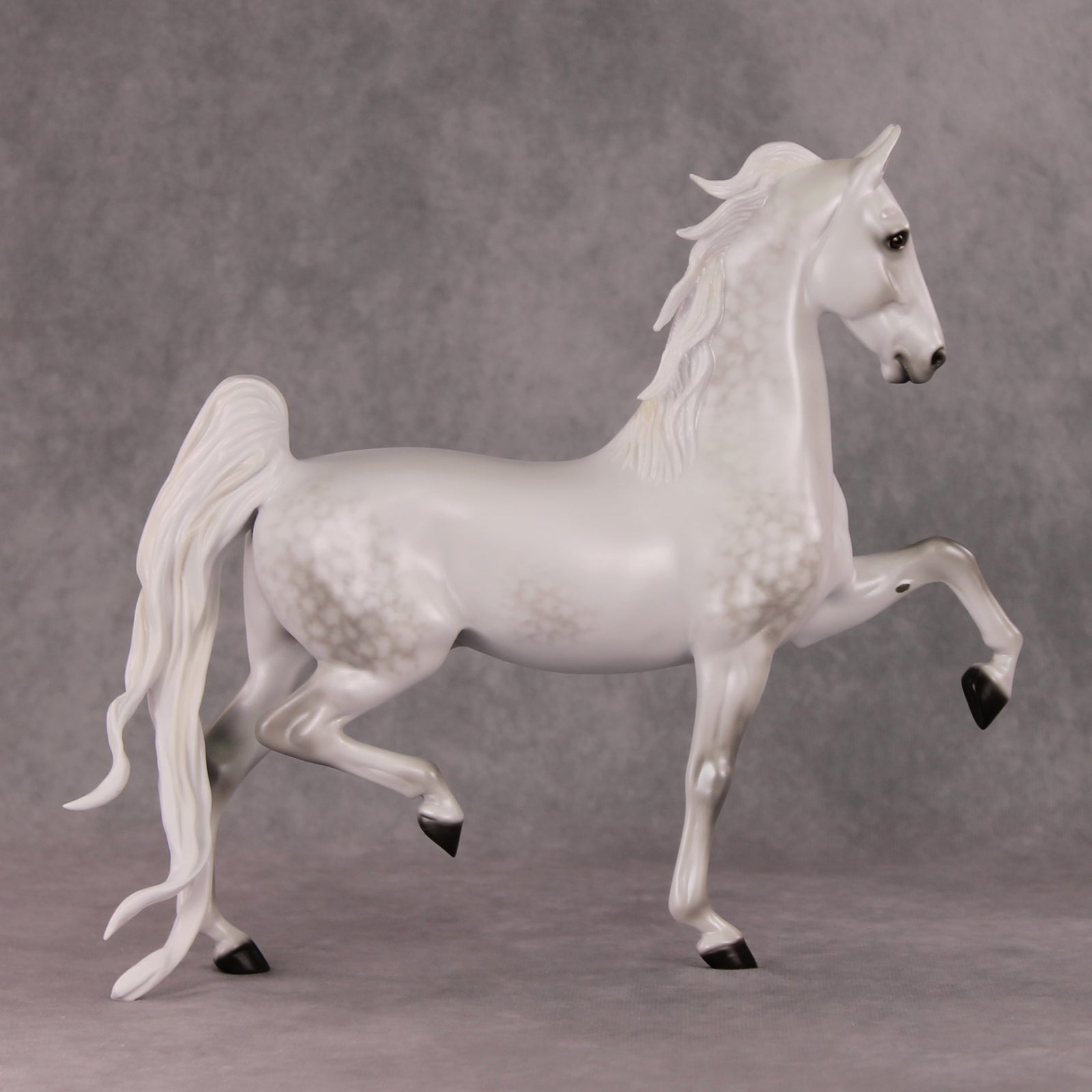 Step Inside OOAK Light Dapple Grey American Saddlebred By Ellen Robbins HS24