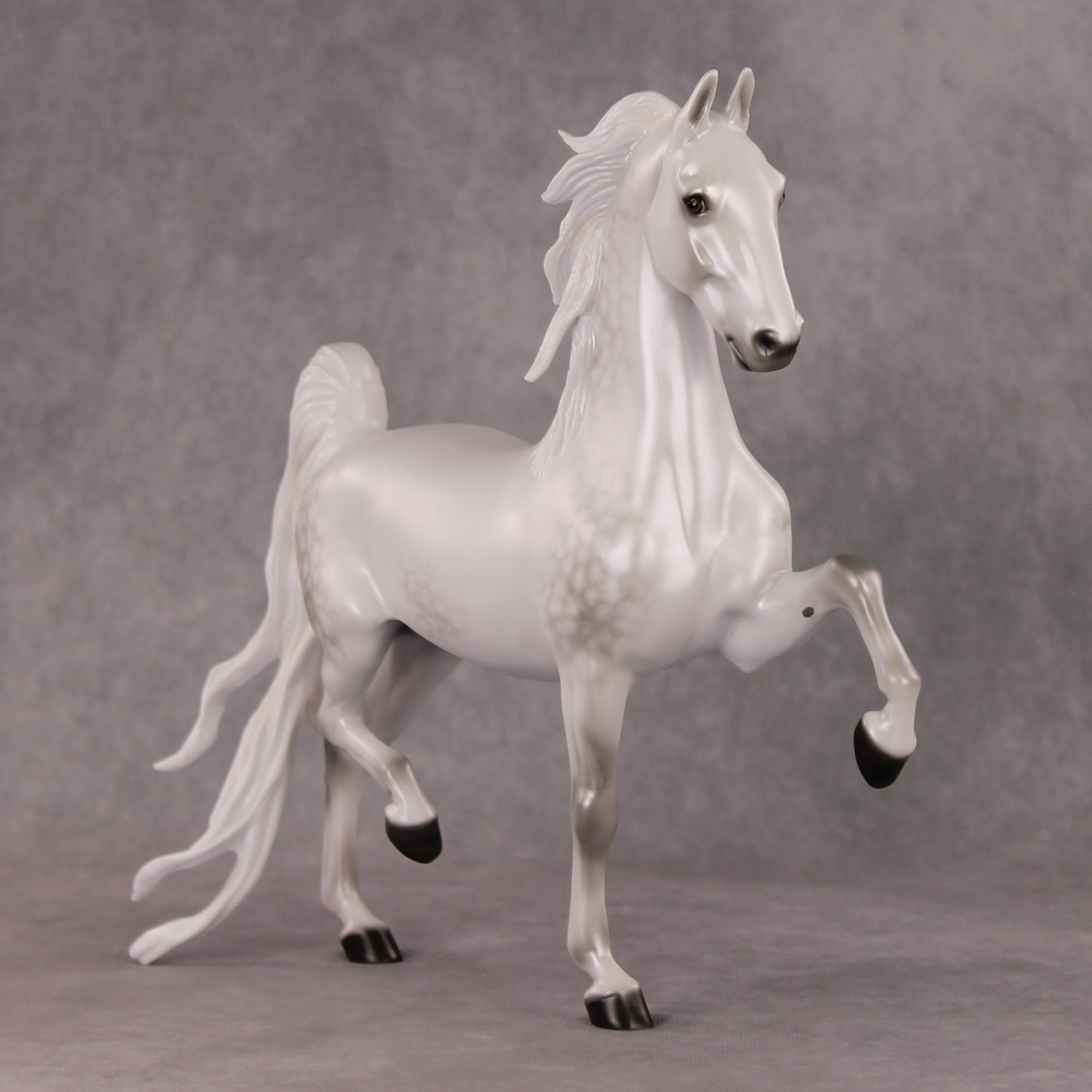 Step Inside OOAK Light Dapple Grey American Saddlebred By Ellen Robbins HS24