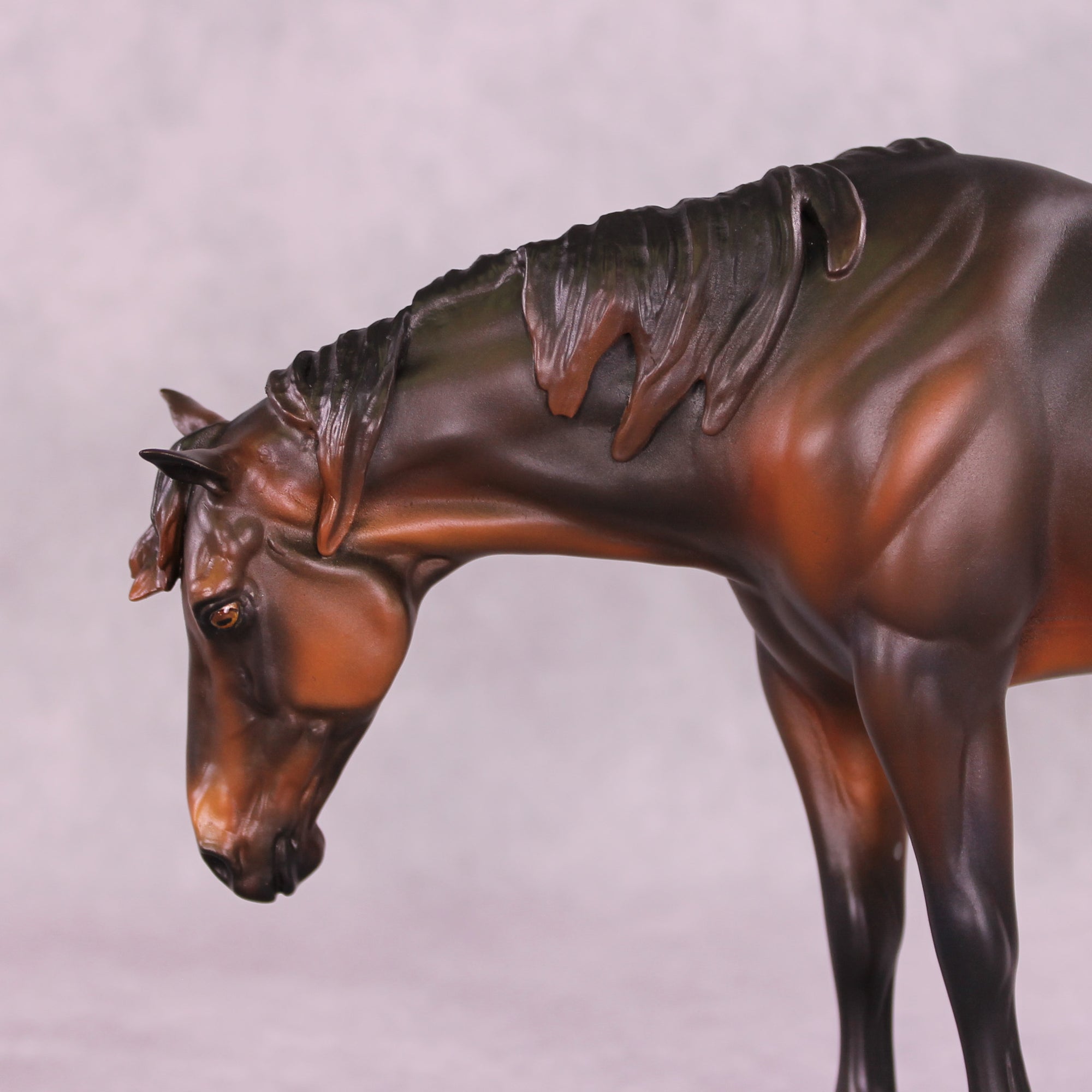 Isabella OOAK EFCM Ideal Stock Horse by Erika Isbell SS925