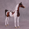 &quot;Currant&quot; OOAK Arabian Stallion by Dawn Quick EQ25