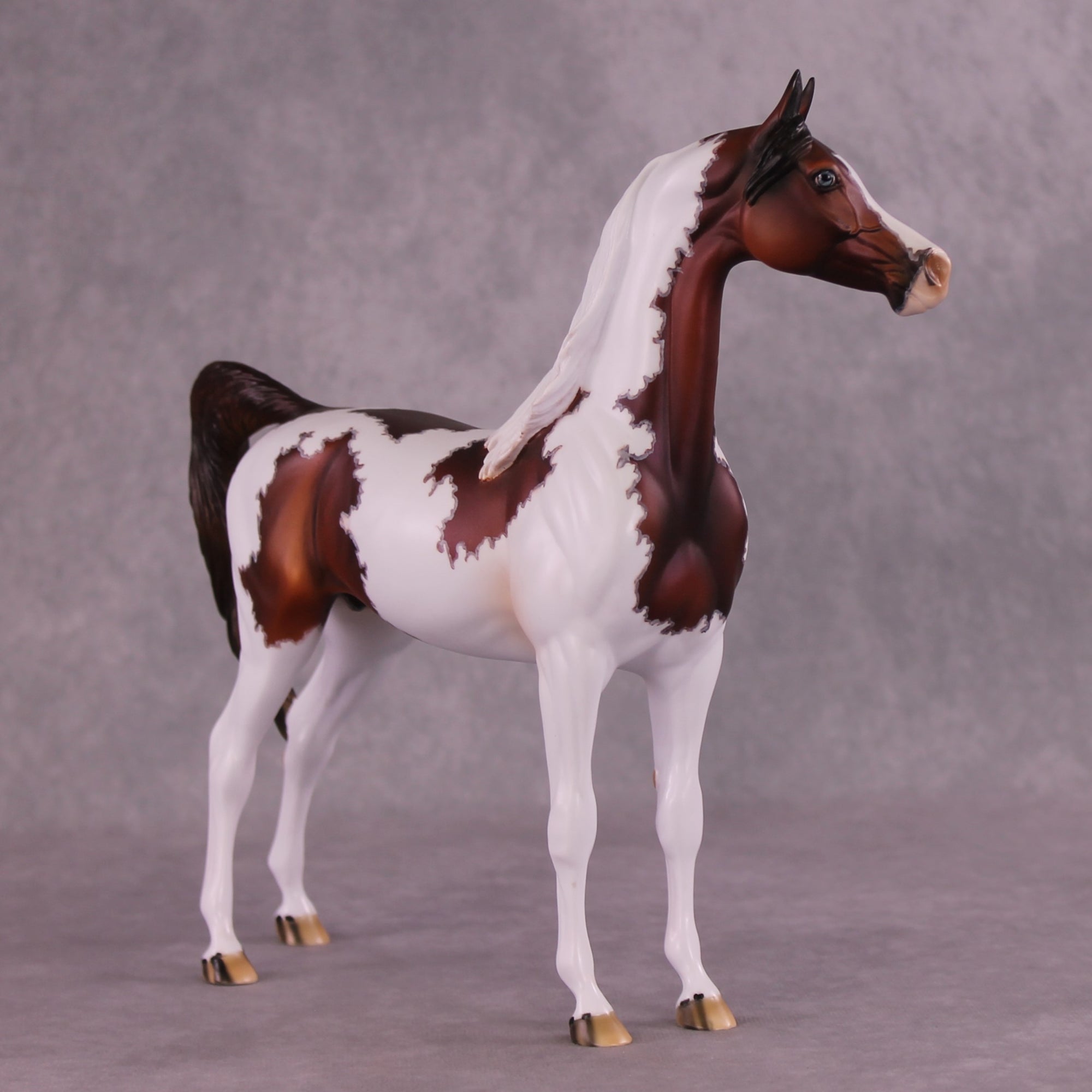 "Currant" OOAK Arabian Stallion by Dawn Quick EQ25