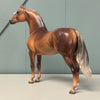 Darrington OOAK Chocolate Palomino Morgan By Jess Hamill EQ24