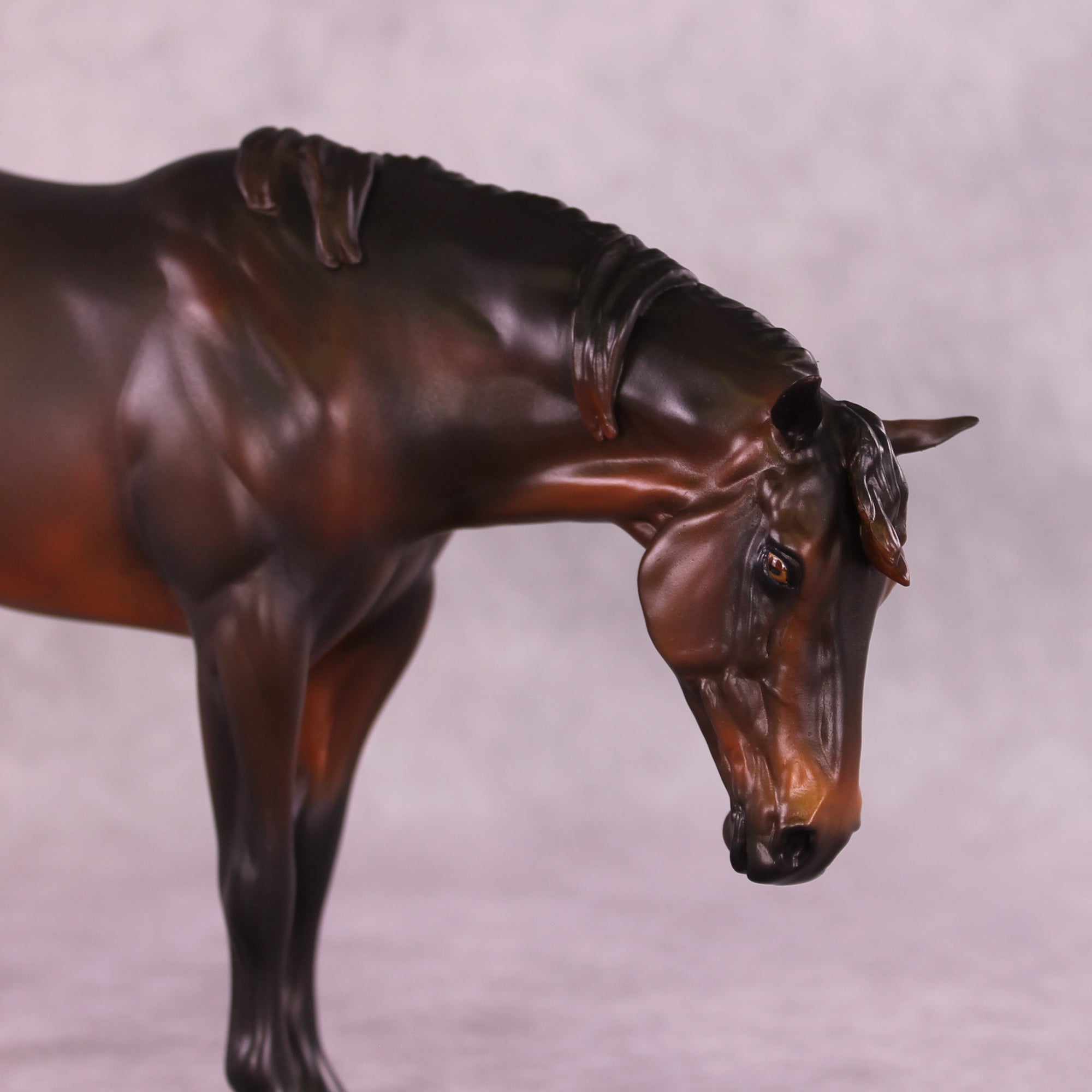 Isabella OOAK EFCM Ideal Stock Horse by Erika Isbell SS925