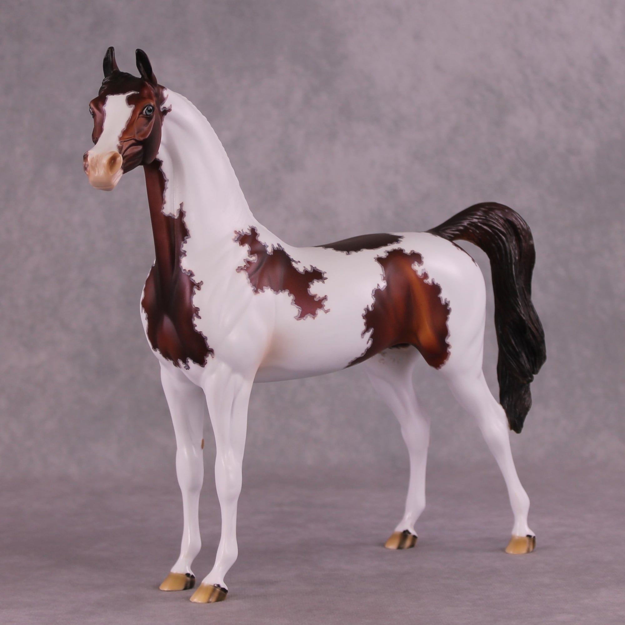 "Currant" OOAK Arabian Stallion by Dawn Quick EQ25