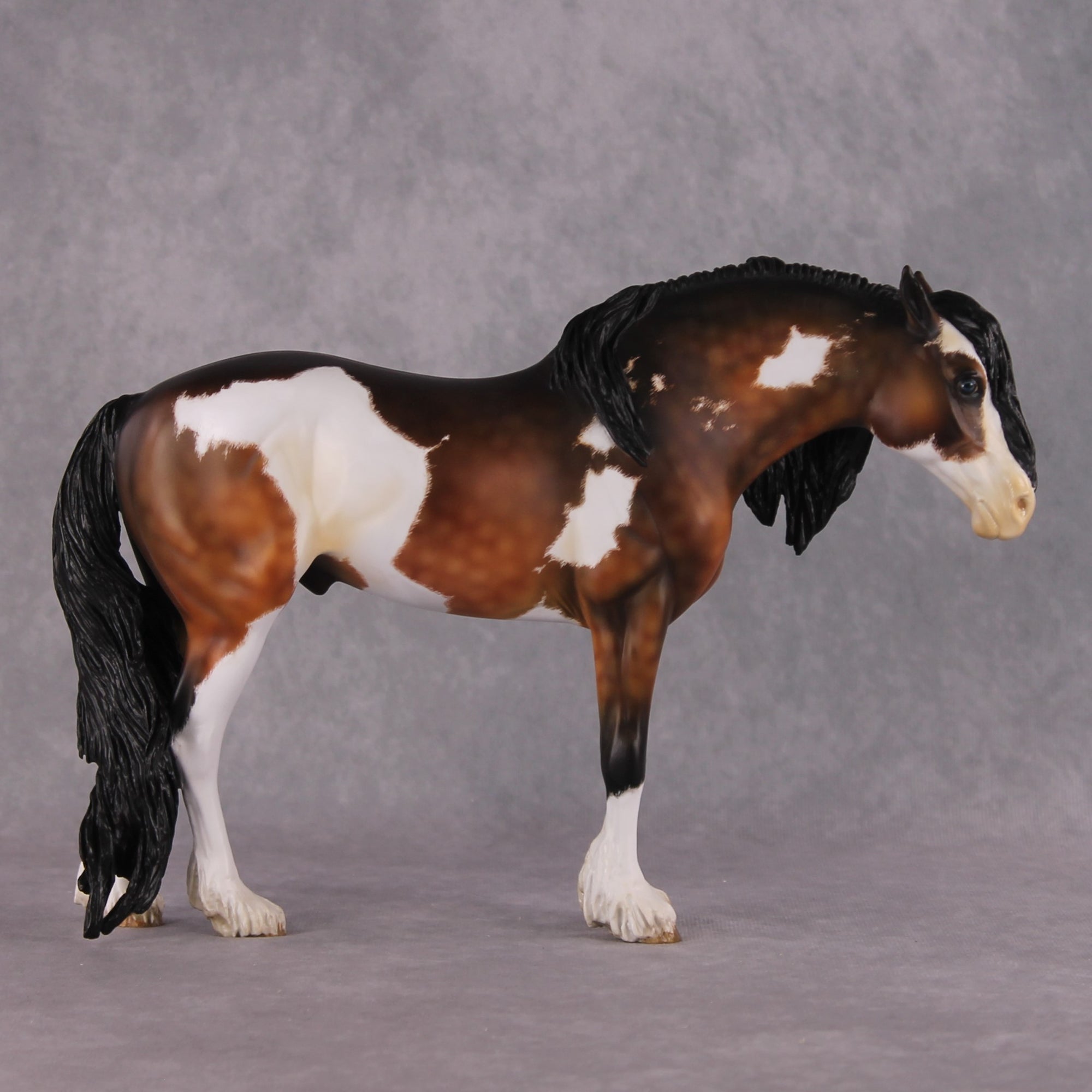 "Alba" EFCM Andalusian By Kristen Cermele