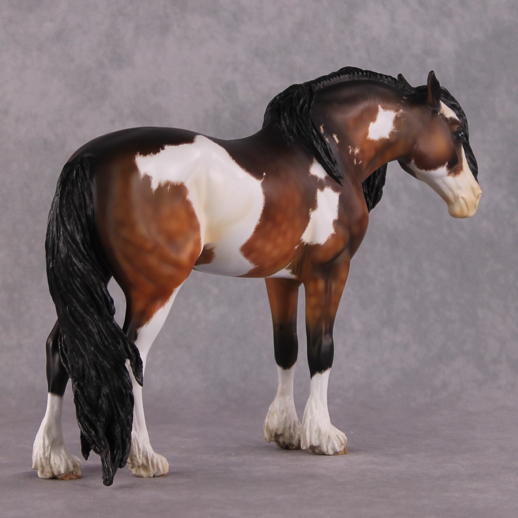 "Alba" EFCM Andalusian By Kristen Cermele