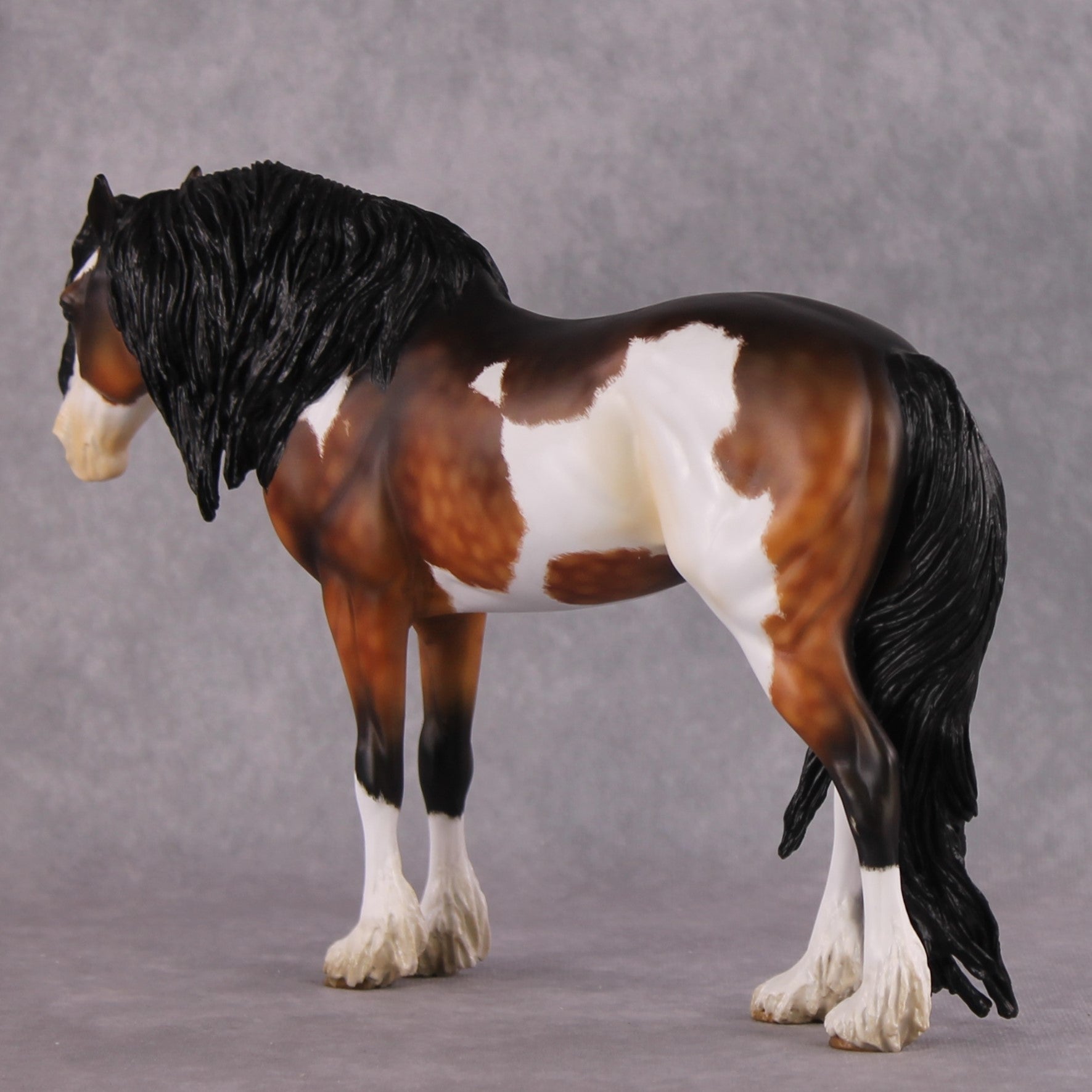 "Alba" EFCM Andalusian By Kristen Cermele