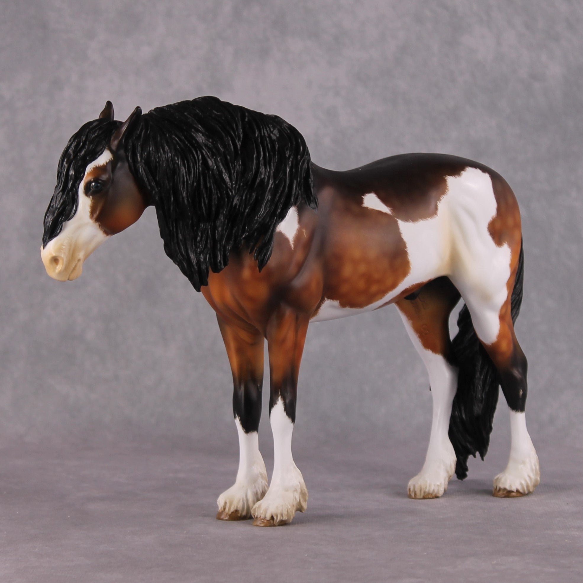 "Alba" EFCM Andalusian By Kristen Cermele