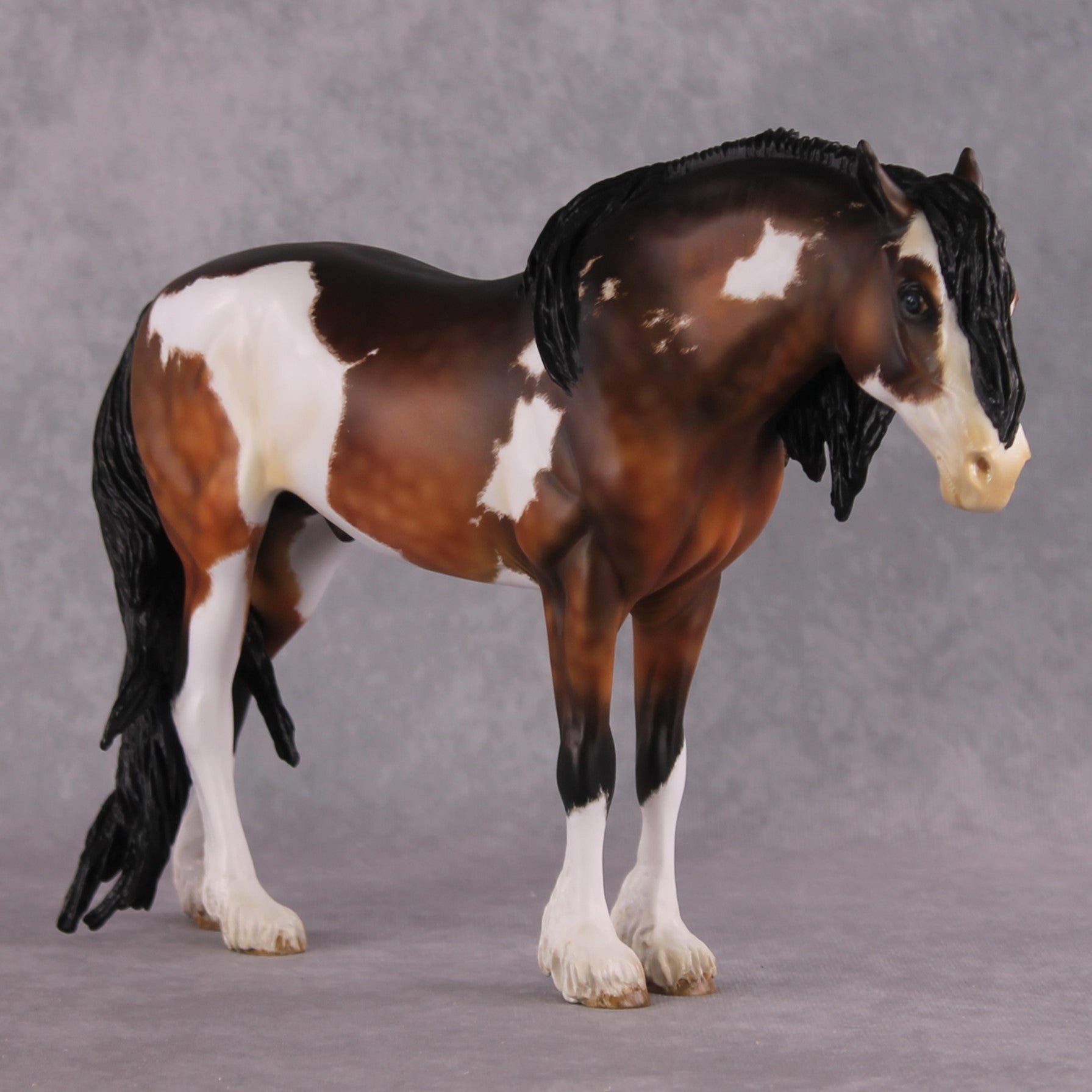 "Alba" EFCM Andalusian By Kristen Cermele