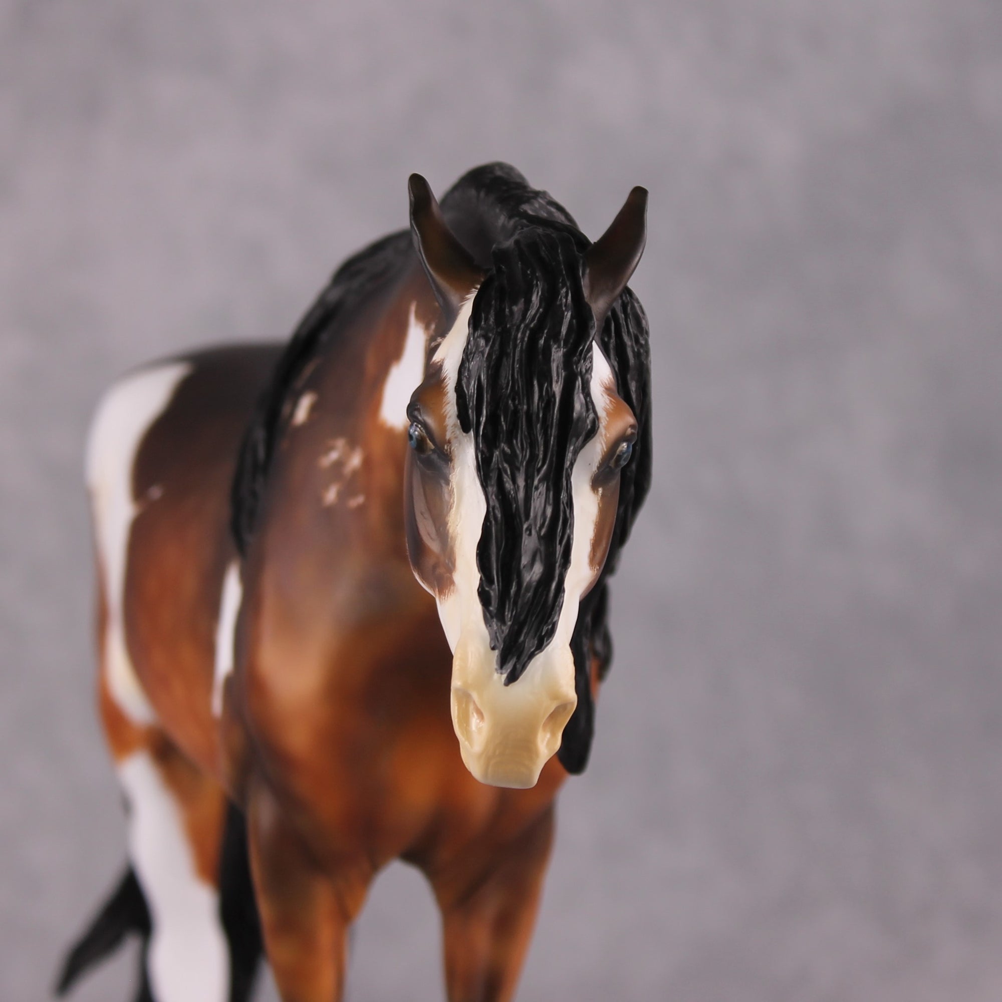 "Alba" EFCM Andalusian By Kristen Cermele