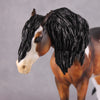 &quot;Alba&quot; EFCM Andalusian By Kristen Cermele