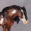 &quot;Alba&quot; EFCM Andalusian By Kristen Cermele