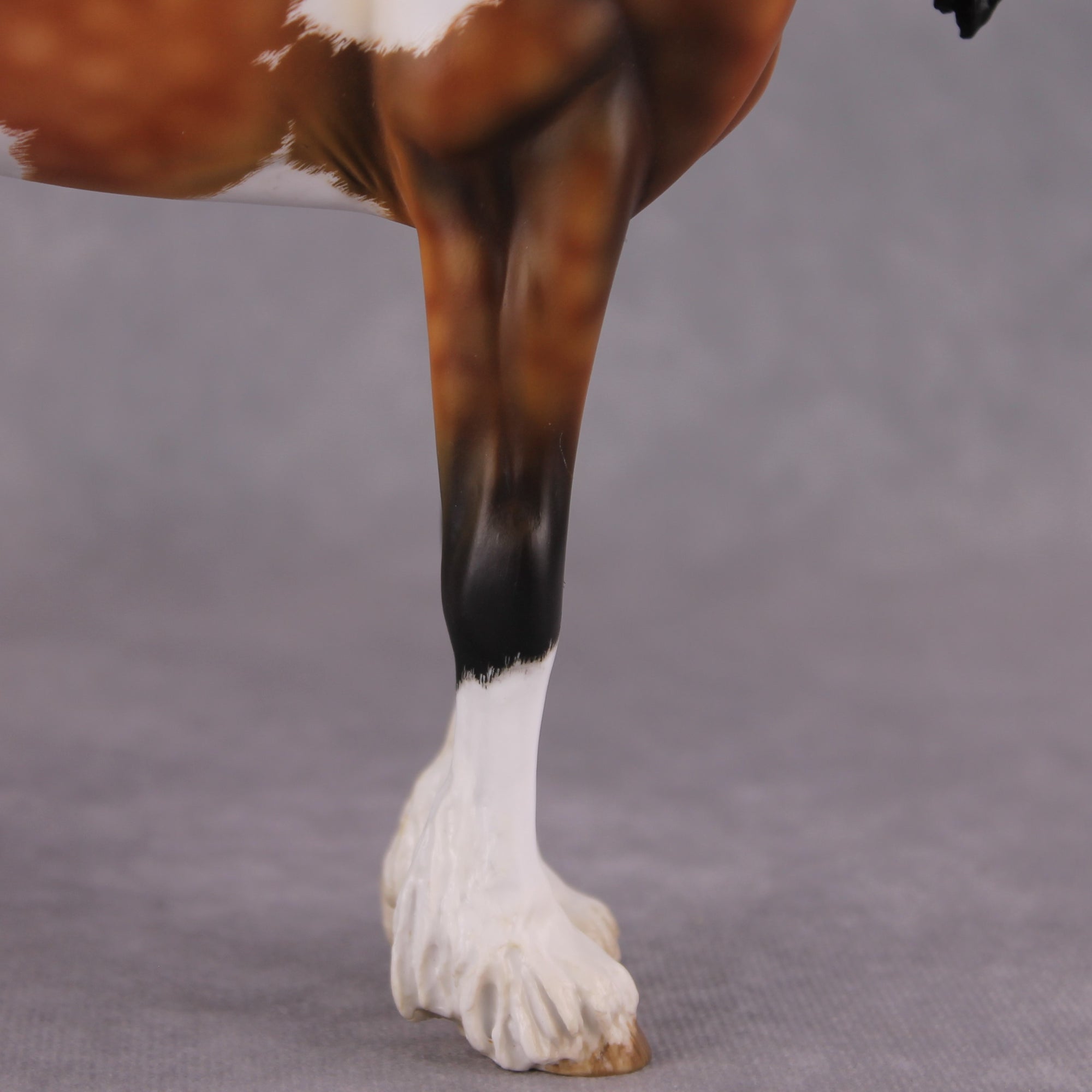 "Alba" EFCM Andalusian By Kristen Cermele