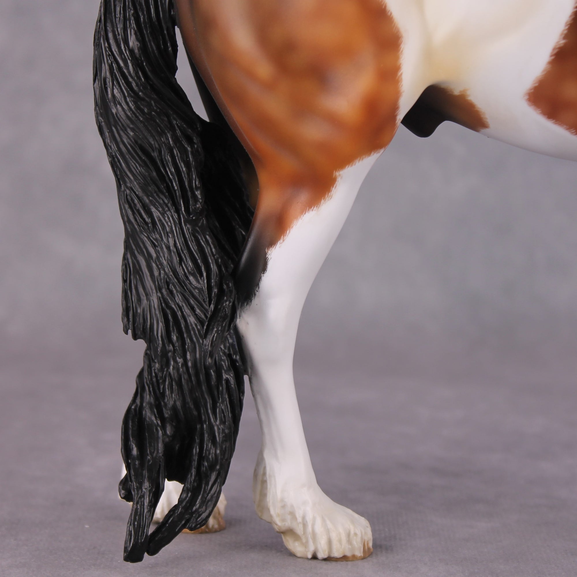 "Alba" EFCM Andalusian By Kristen Cermele