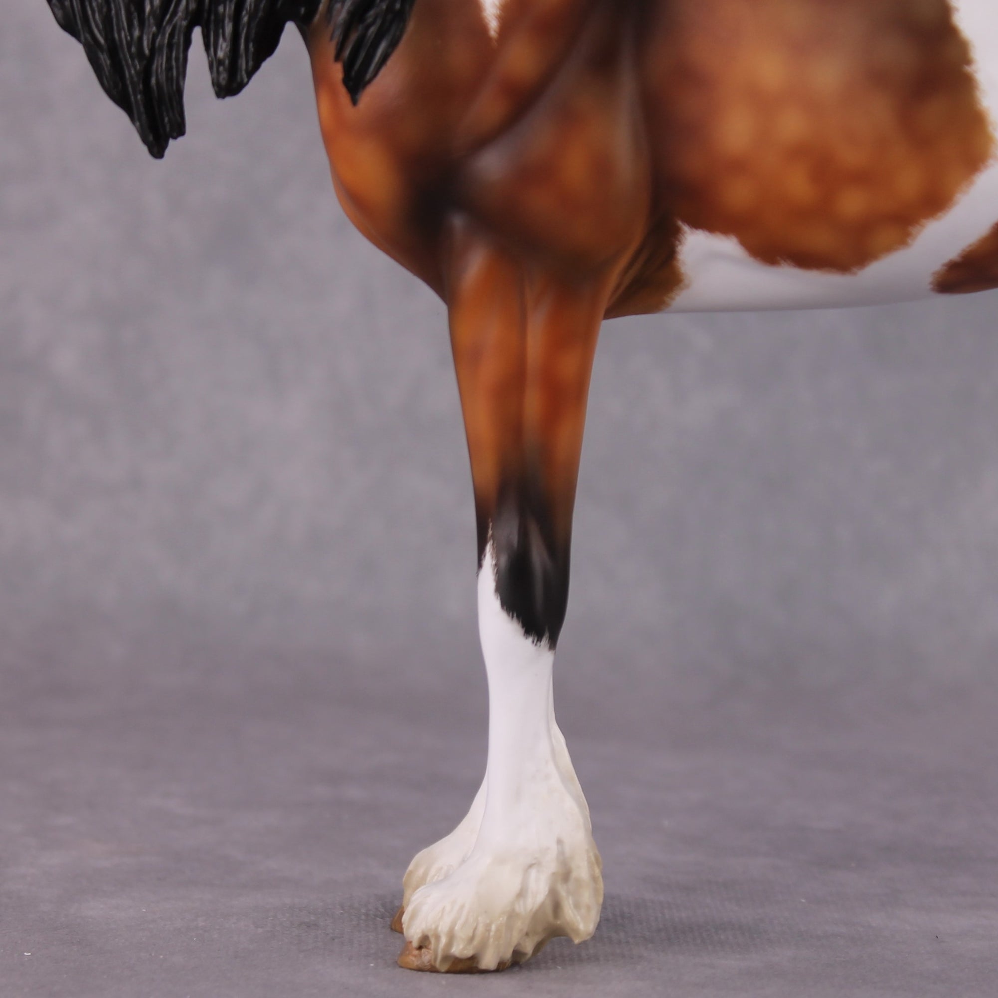 "Alba" EFCM Andalusian By Kristen Cermele