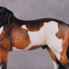 &quot;Alba&quot; EFCM Andalusian By Kristen Cermele