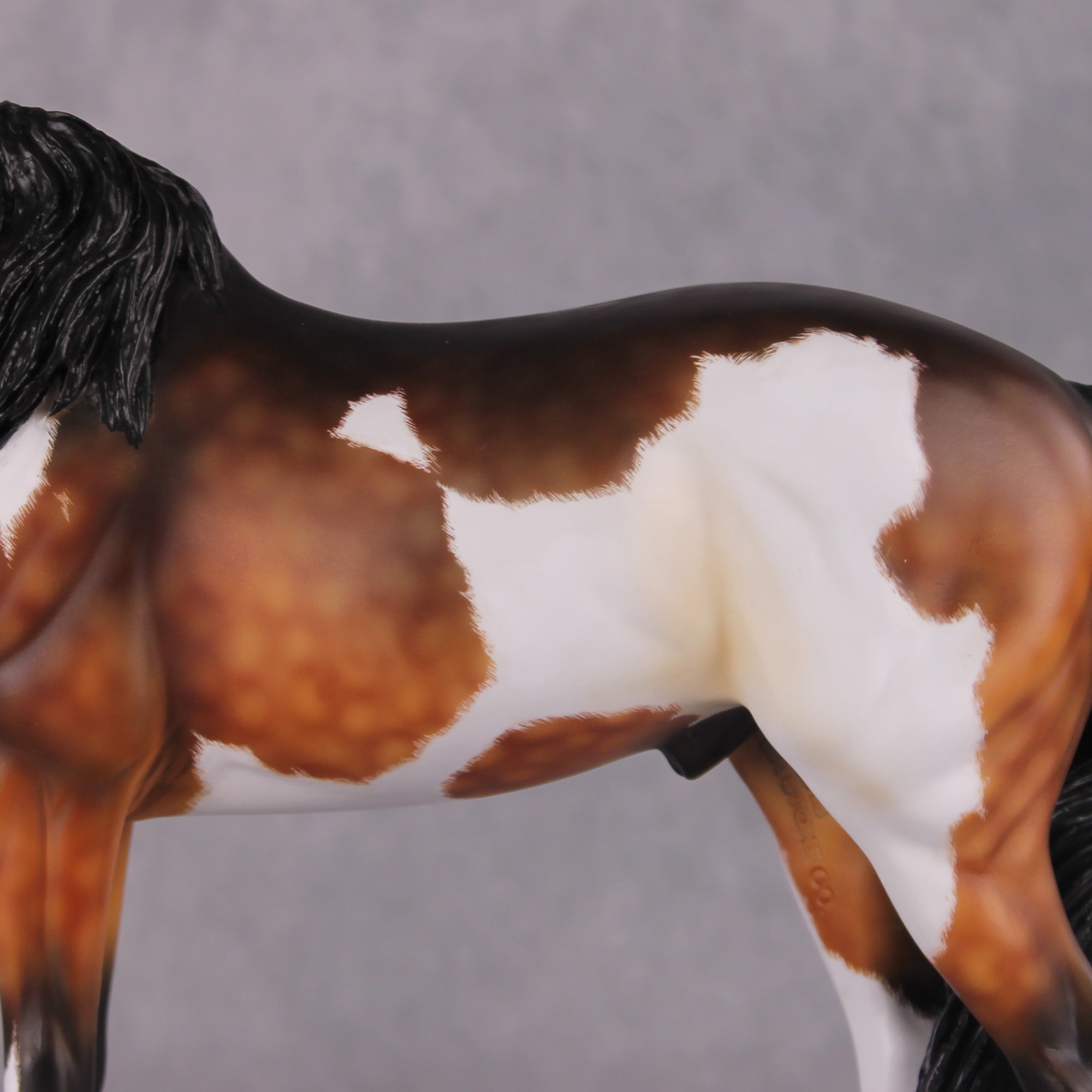 "Alba" EFCM Andalusian By Kristen Cermele