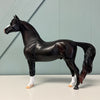 Merwin OOAK Shaded Black Morgan By Ashley Palmer EQ24