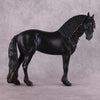 &quot;Alessandra&quot; FCM Andalusian By Kristen Cermele