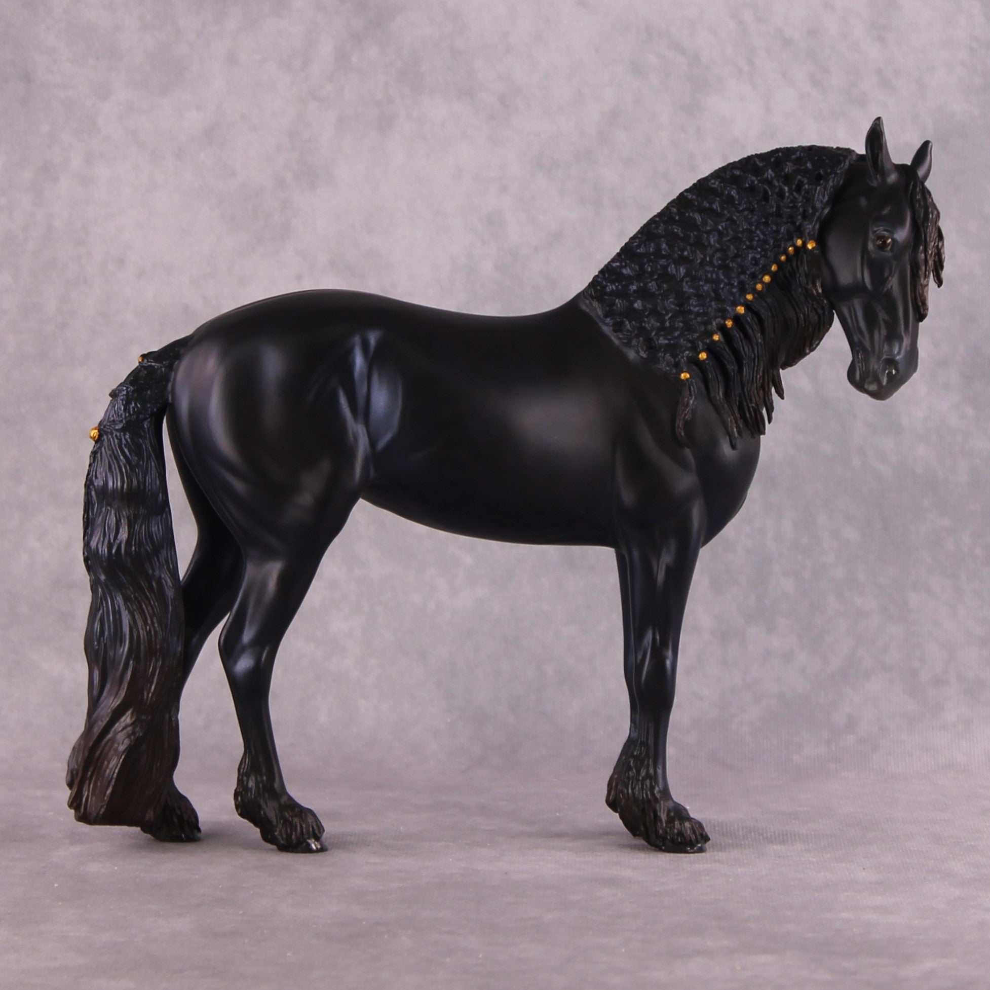 "Alessandra" FCM Andalusian By Kristen Cermele