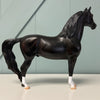 Merwin OOAK Shaded Black Morgan By Ashley Palmer EQ24