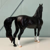 Merwin OOAK Shaded Black Morgan By Ashley Palmer EQ24