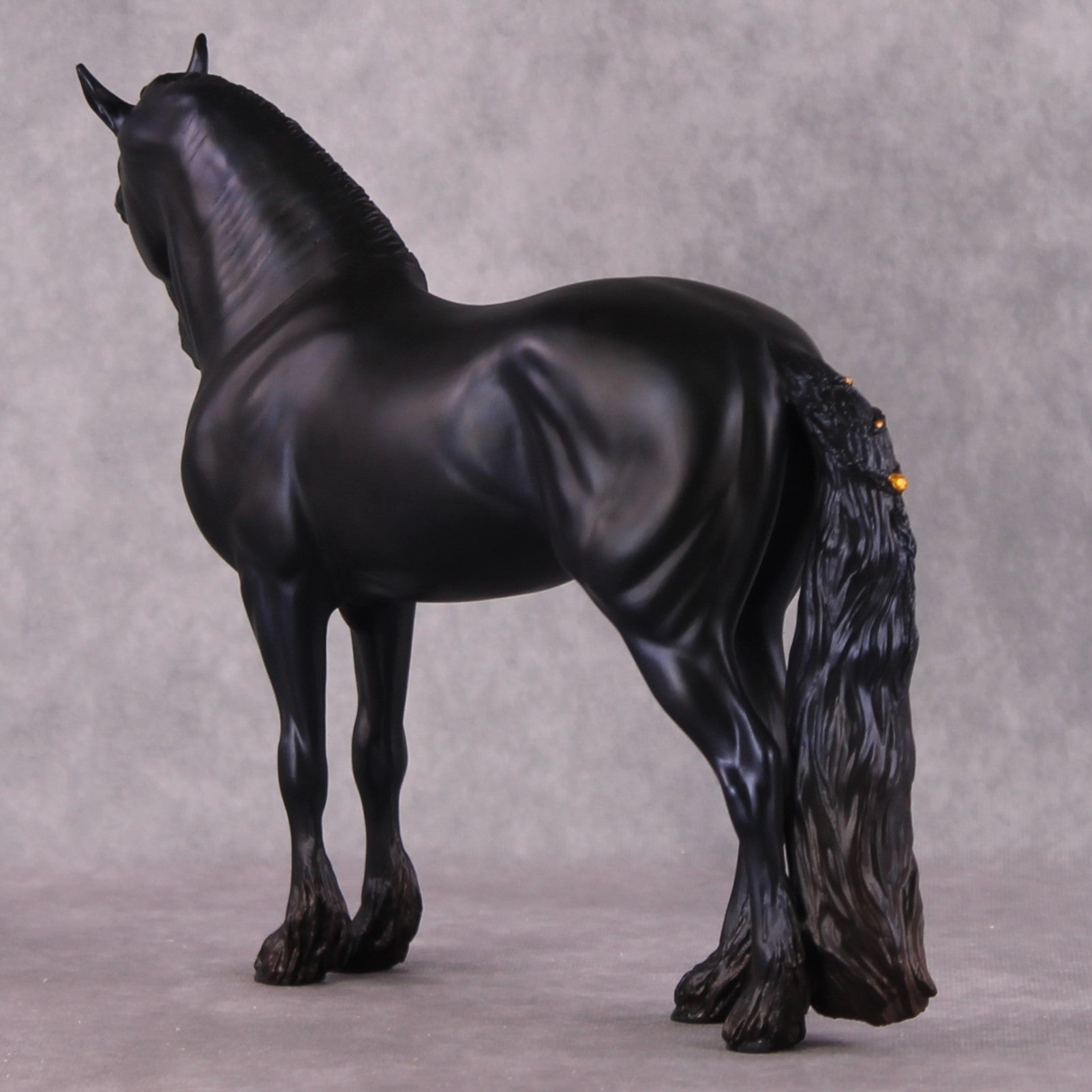 "Alessandra" FCM Andalusian By Kristen Cermele