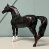 Merwin OOAK Shaded Black Morgan By Ashley Palmer EQ24