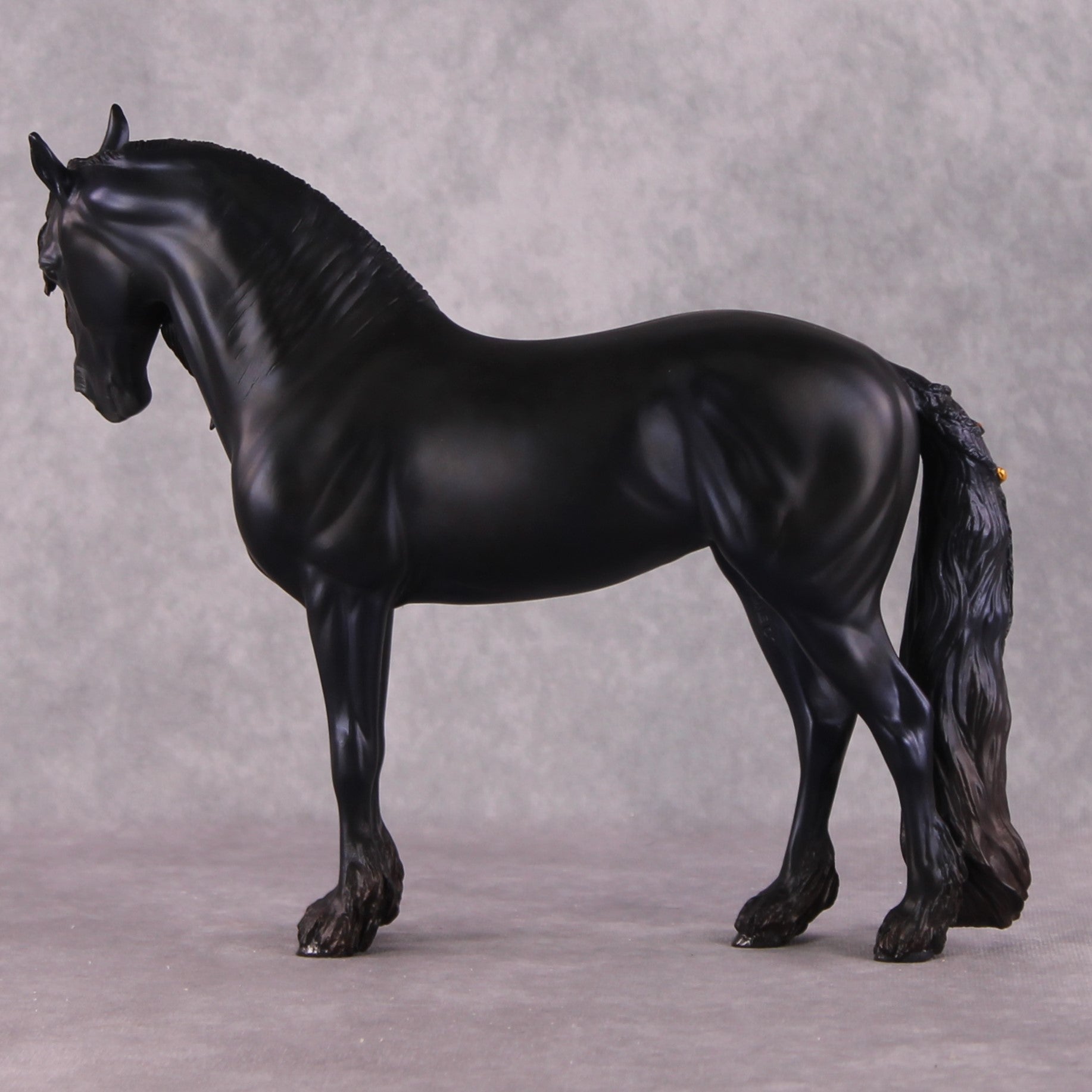 "Alessandra" FCM Andalusian By Kristen Cermele