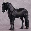 &quot;Alessandra&quot; FCM Andalusian By Kristen Cermele