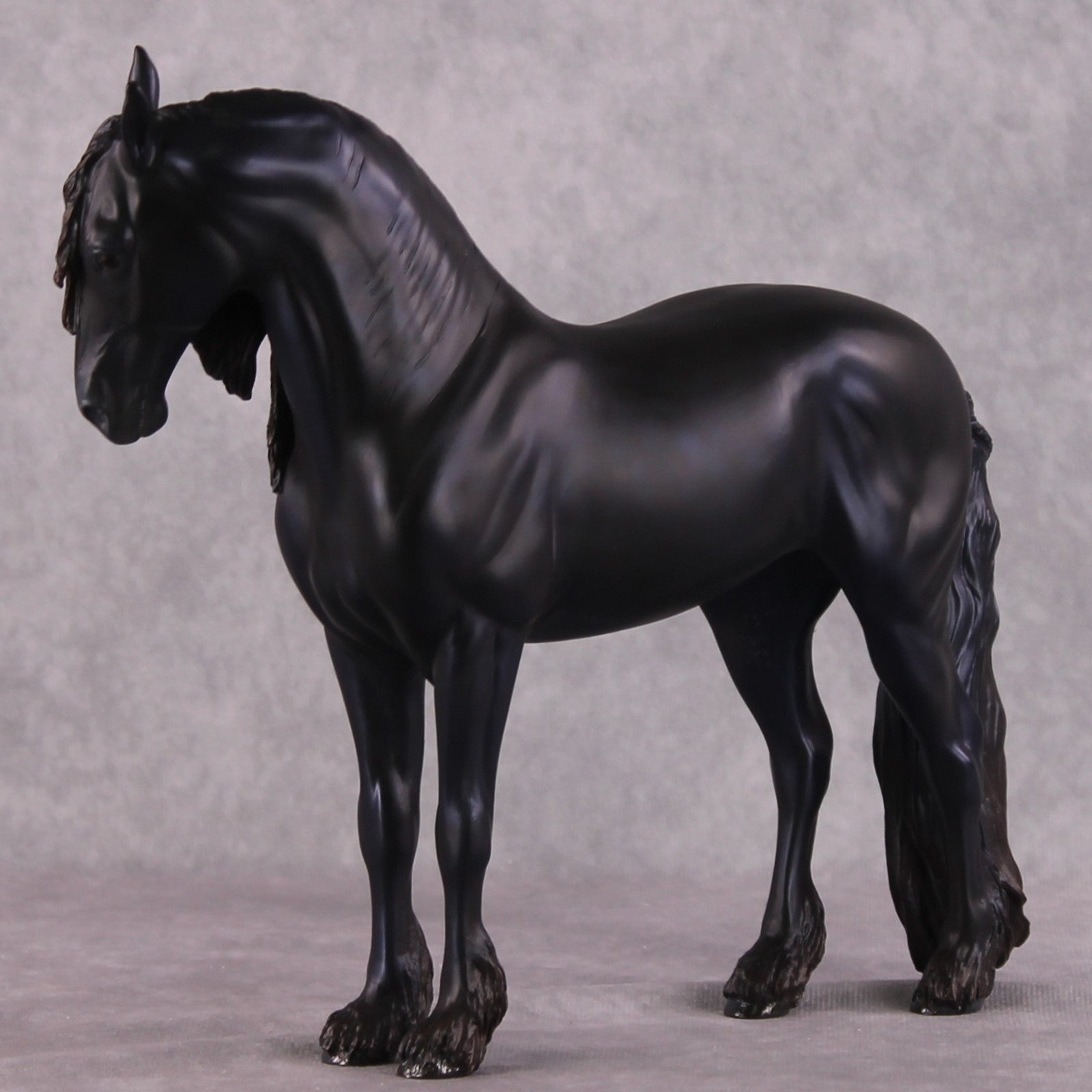 "Alessandra" FCM Andalusian By Kristen Cermele