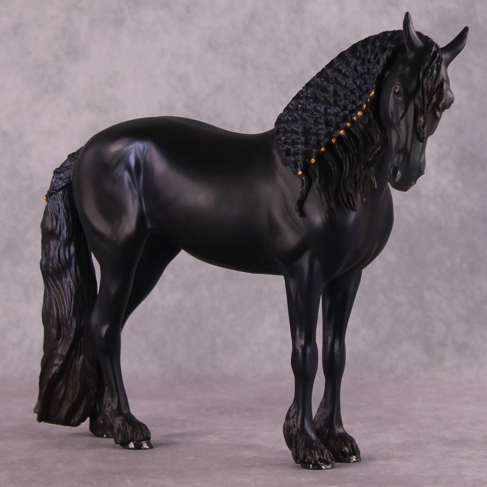 "Alessandra" FCM Andalusian By Kristen Cermele