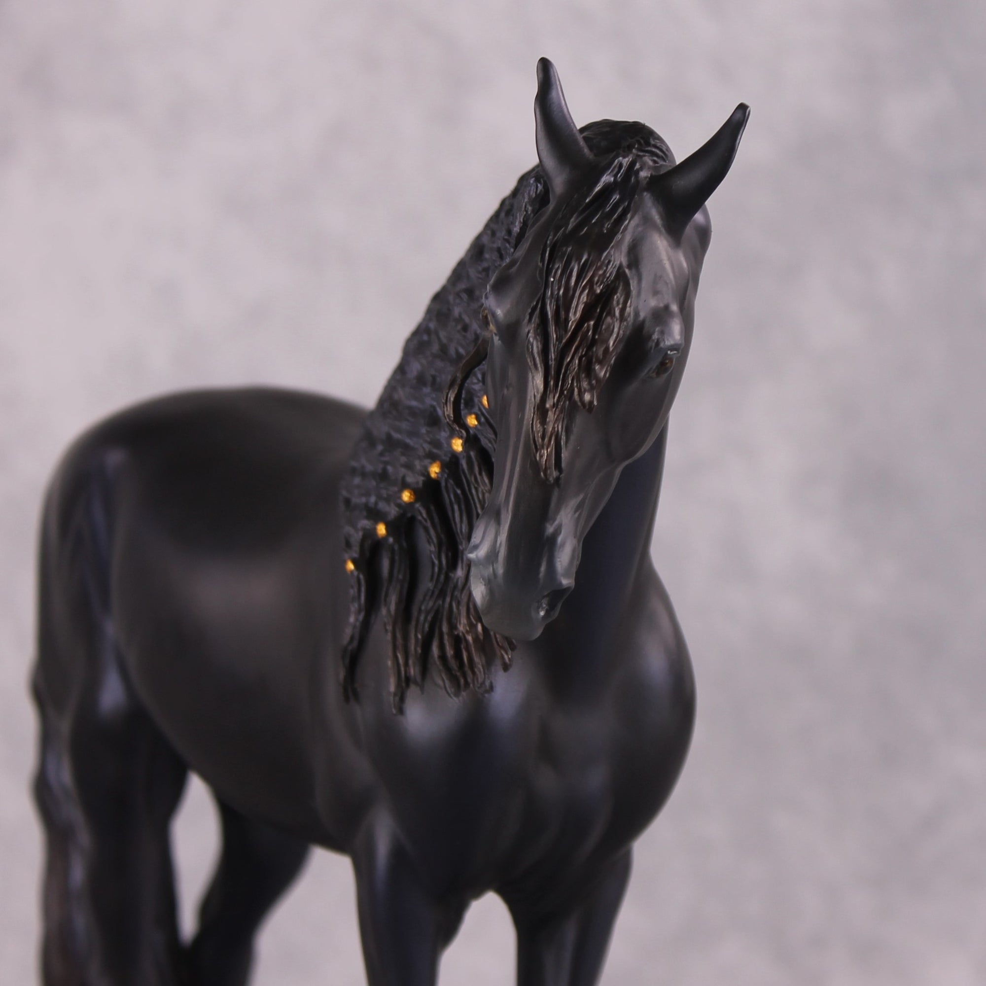 "Alessandra" FCM Andalusian By Kristen Cermele