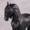 &quot;Alessandra&quot; FCM Andalusian By Kristen Cermele