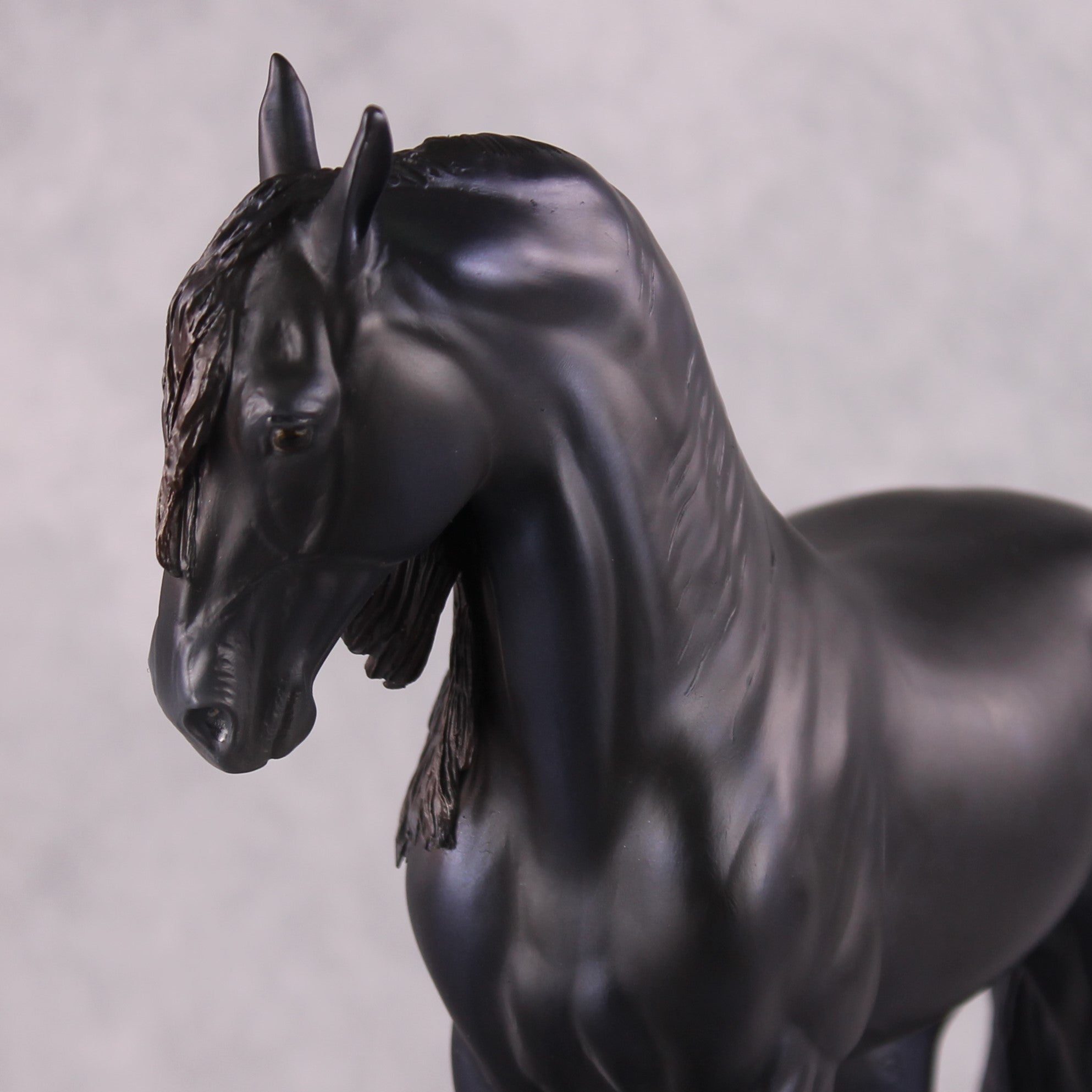 "Alessandra" FCM Andalusian By Kristen Cermele