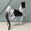 Presence Of Mind OOAK Black Tobiano with Cat Tracks Saddlebred By Dawn Quick EQ24