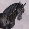 &quot;Alessandra&quot; FCM Andalusian By Kristen Cermele