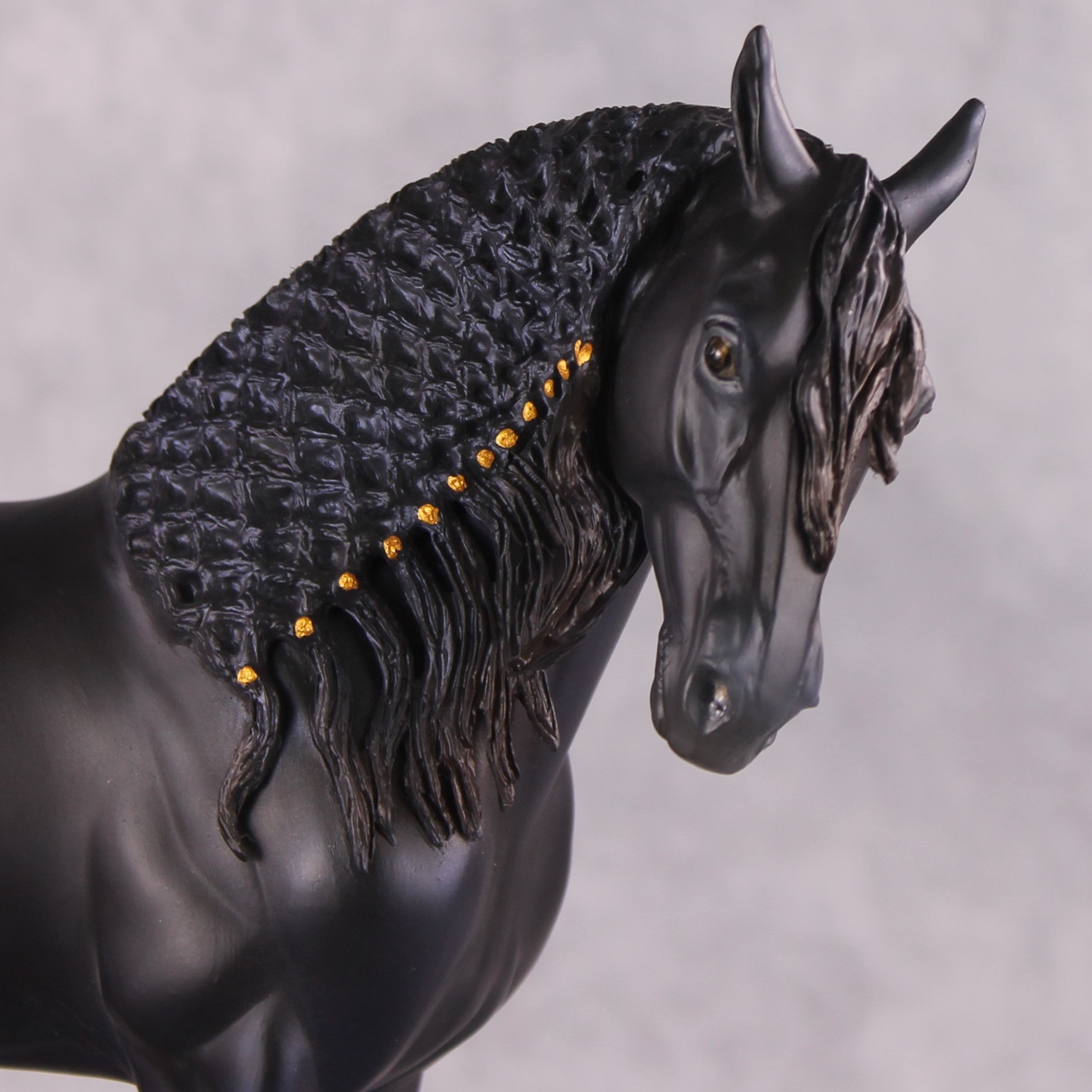 "Alessandra" FCM Andalusian By Kristen Cermele