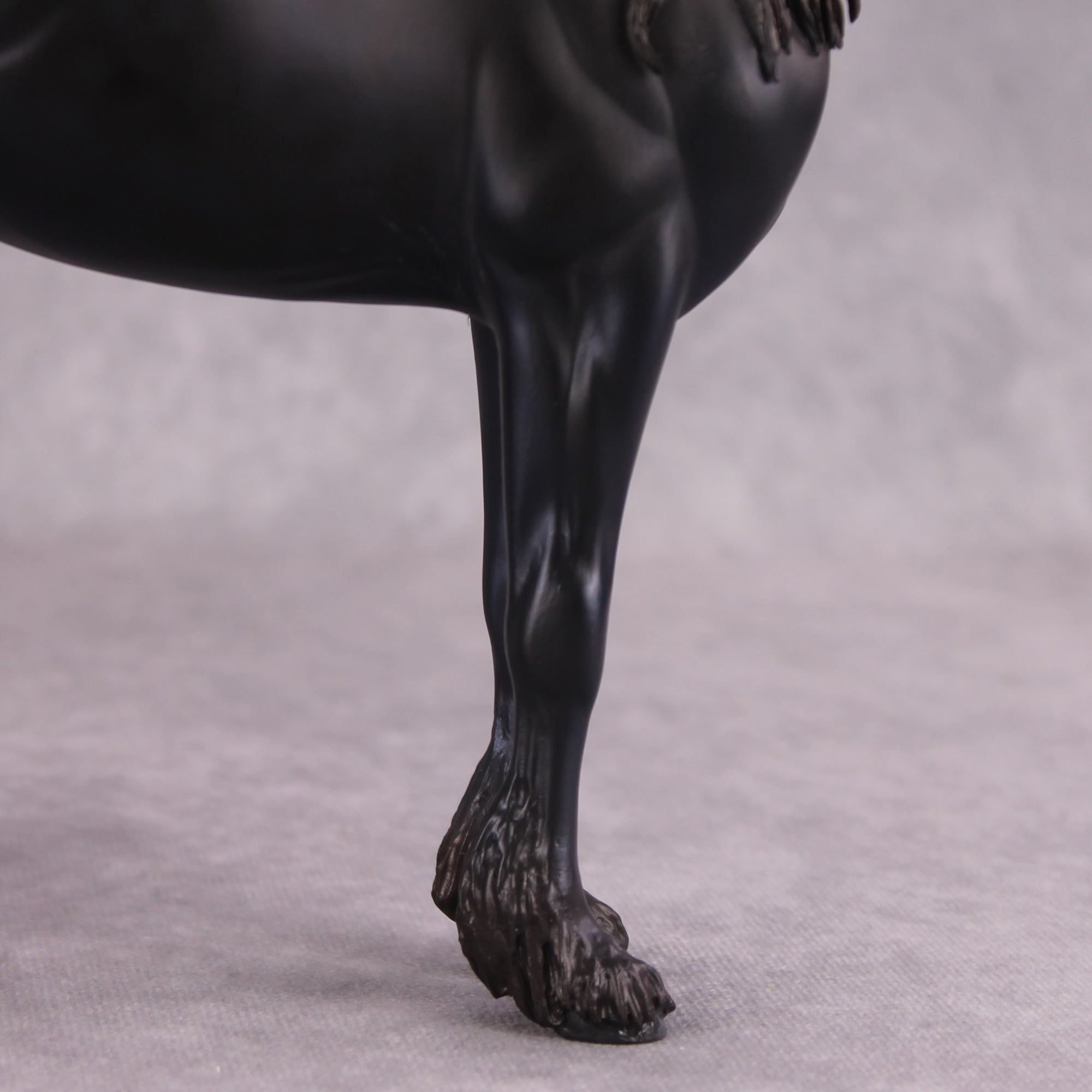 "Alessandra" FCM Andalusian By Kristen Cermele