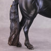&quot;Alessandra&quot; FCM Andalusian By Kristen Cermele