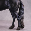 &quot;Alessandra&quot; FCM Andalusian By Kristen Cermele